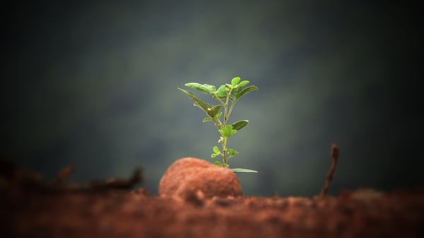 How to improve your operations to support a sustainable future