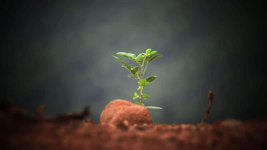 carbon-footprint-1024x575